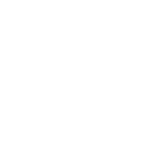 Enfusion