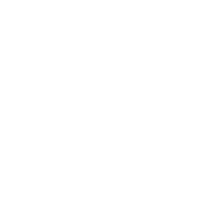 Formula 2