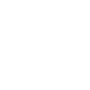 PDC Darts